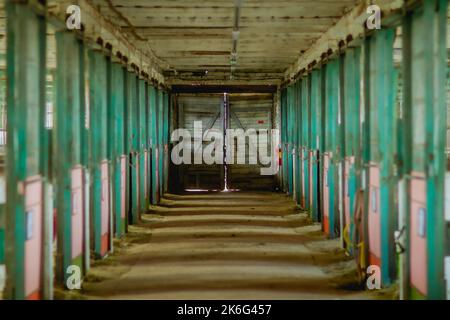 Verde cavallo stalla portoni in prospettiva, Lettonia Foto Stock
