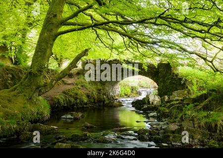 Del rapinatore ponte su Weir acqua nel Parco Nazionale di Exmoor, Somerset, Inghilterra. Foto Stock