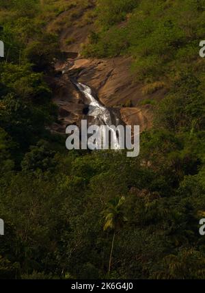 Questo flusso pulito è nei ghats occidentali dell'India. Foto Stock