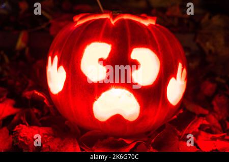 Zucca di Halloween / Kürbis / Trick or Treat / Horror / Herbstdecko / Herbstzeit / Oktober / Halloweenparty / Zombie Foto Stock