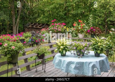 Bell'assortimento di piante e fiori; begonie, gerani, petunie, ecc. su un ponte sul cortile in una serata estiva a St. Croix Falls, WISCONSIN USA. Foto Stock