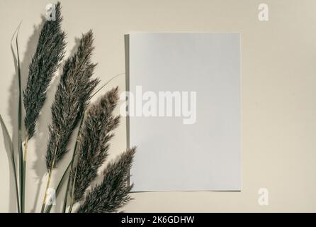 Mockup con carta bianca biglietto da visita e erba di pampas essiccata su sfondo beige pastello con ombra alla moda e luce del sole. Temperatura minima del marchio aziendale Foto Stock
