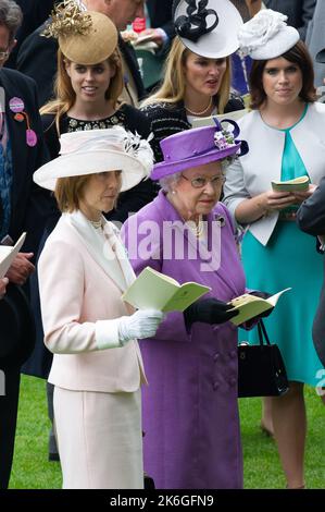 Ascot, Berkshire, Regno Unito. 20th giugno, 2013. Sua Maestà la Regina guarda i cavalli nel Parade Ring prima che il suo cavallo vince la Coppa d'oro Ascot. Questa era una giornata storica in quanto era la prima volta che un monarca regnante aveva vinto la Gold Cup. La stima è stata guidata dal jockey Ryan Moore. La regina Elisabetta II era dovuta alla presentazione per la Coppa d'Oro, ma suo figlio, il Duca di York, fece la presentazione. Data di pubblicazione: 14th ottobre 2022. Credito: Maureen McLean/Alamy Foto Stock