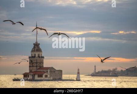 Gabbiani e Torre della Maiden al tramonto, Istanbul. Foto Stock