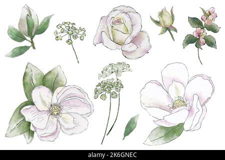 Set con illustrazioni botaniche acquerello, fiori wtite e rami isolati su sfondo bianco Foto Stock