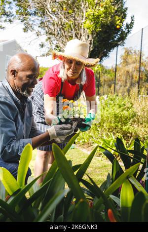 Felice coppia anziana diversa che lavora in giardino Foto Stock