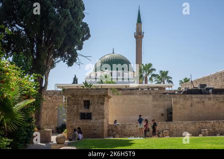 Israele, Acre (Akko, Moschea al Jazzar, dai giardini della cittadella Foto Stock