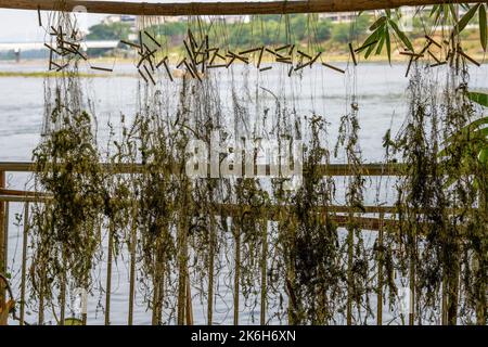 Primo piano di reti da pesca che asciugano dal fiume Foto Stock