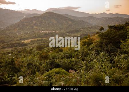 Valle panoramica sui monti Rwenzori - distretto di Kasese, Africa orientale dell'Uganda. Foto Stock