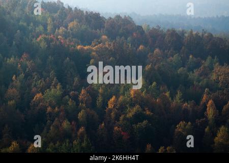 Foresta colorata sulla collina in autunno, la tettoia dell'albero del sole illumina nella foschia mattutina Foto Stock