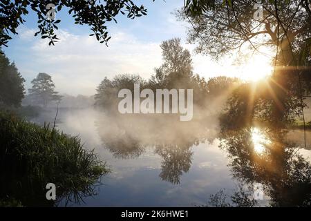 Sole raggi che splende attraverso gli alberi sul fiume Wey, Guildford, Surrey, Regno Unito Foto Stock