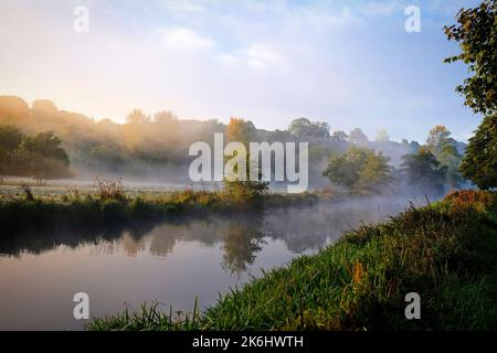 Nebbia sui prati del fiume Wey, Guildford, Surrey, Regno Unito Foto Stock