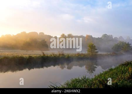 Nebbia sui prati del fiume Wey, Guildford, Surrey, Regno Unito Foto Stock