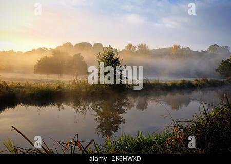 Nebbia sui prati del fiume Wey, Guildford, Surrey, Regno Unito Foto Stock