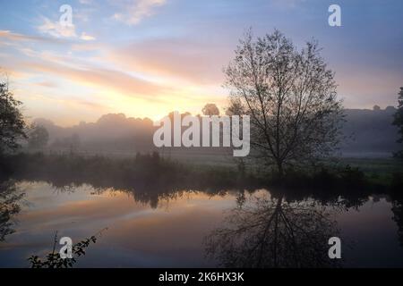 Nebbia sui prati del fiume Wey, Guildford, Surrey, Regno Unito Foto Stock