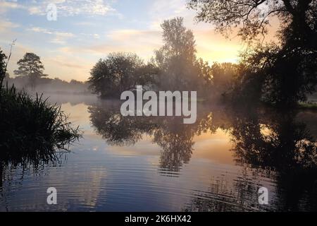 Nebbia sui prati del fiume Wey, Guildford, Surrey, Regno Unito Foto Stock