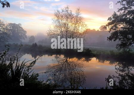 Nebbia sui prati del fiume Wey, Guildford, Surrey, Regno Unito Foto Stock