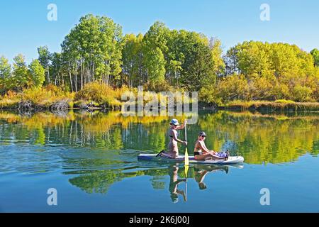 Lo stand-up paddleboarding è popolare sul fiume Deschutes vicino a Bend, Oregon, soprattutto in autunno, quando gli aspen alberi lungo il fiume iniziano a tu Foto Stock