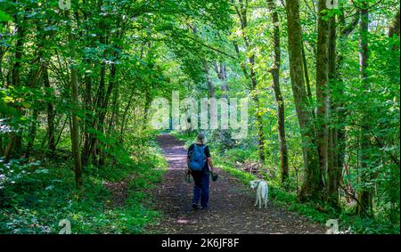 Donna con un giovane cane bianco che percorre la foresta Foto Stock