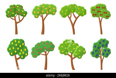 Alberi da frutto frutteti verdi. Raccolto estivo ciliegia matura mela pera susina limone pesca albicocca. Albero di frutta verde giardino piano cartone animato. Parco naturale foresta biologica isolato su bianco Illustrazione Vettoriale