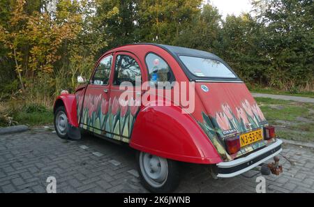 Harlingen, Paesi Bassi Ottobre 10 2022 - Un oldtimer carino: Citroën 2CV o chevaux deux in rosso con tulipani dipinti su Foto Stock