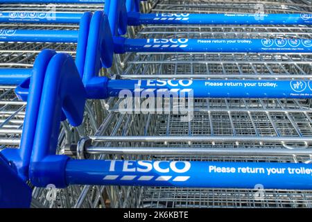 File di carrelli Tesco allineati fuori dal supermercato, Londra, Inghilterra, Regno Unito, Regno Unito Foto Stock