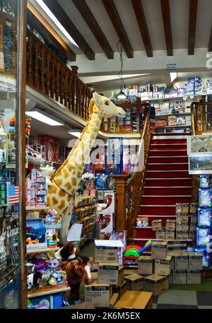 Interno del negozio di giocattoli con una giraffa giocattolo gigante e altri animali farciti, Chamonix, alta Savoia, Francia Foto Stock