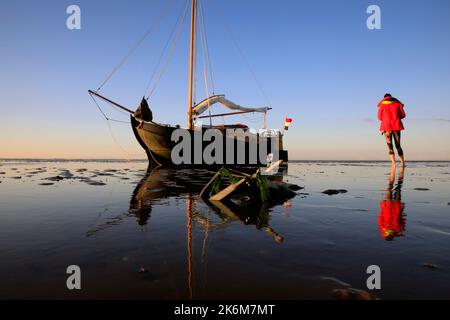 Una classica barca a vela adagiata sulle maree del Mare di Wadden, Olanda Foto Stock