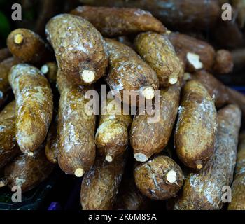 Foto ravvicinata dei tuberi di yuca Foto Stock