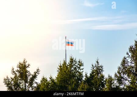 La bandiera russa - tricolore sorge sopra gli alberi di conifere contro il cielo blu, retroilluminazione Foto Stock