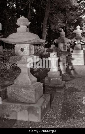 Fila di lanterne di pietra sacrario Kashima Giappone 2 B-W. Foto Stock