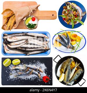 Piatti assortiti di piccolo pesce - spratto, hamsa, acciuga, Foto Stock