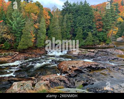 Colori ipmerizzanti di colori autunnali/autunnali/fogliame alla baia di Batchawana/cascate di Chippewa/fiume-Ontario/Canada Foto Stock