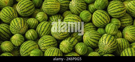 Molti grandi dolci verdi cocomeri Foto Stock