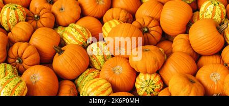 mucchio di zucche diverse ad un mercato Foto Stock