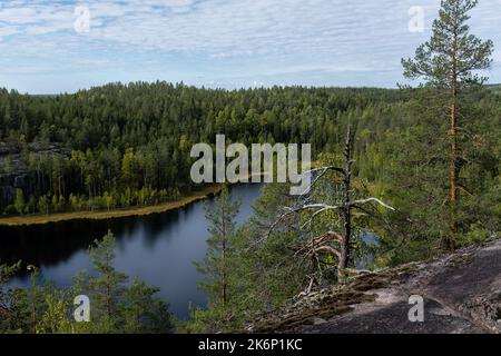 Paesaggio boschivo e lacustre finlandese dal Parco Nazionale di Repovesi a Kouvola, Finlandia Meridionale Foto Stock