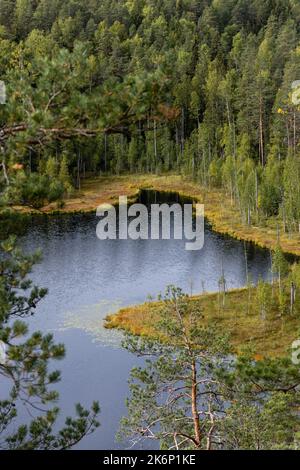 Zoomato in vista di un lago finlandese e di un paesaggio forestale nel Parco Nazionale di Repovesi in autunno Foto Stock