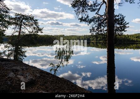 Panorama finlandese sul lago d'estate con la riflessione sul lago e le nuvole nel cielo. Parco Nazionale di Repovesi a Kouvola Foto Stock