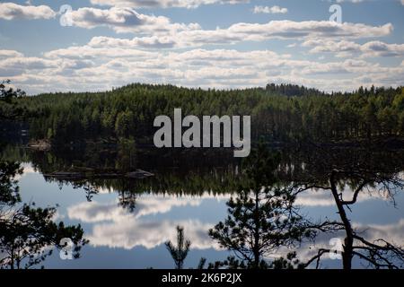 Panorama finlandese sul lago d'estate con la riflessione sul lago e le nuvole nel cielo. Parco Nazionale di Repovesi a Kouvola Foto Stock