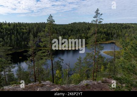 Vista panoramica sulla foresta finlandese e sul lago dal Parco Nazionale di Repovesi a Kouvola, Finlandia meridionale Foto Stock