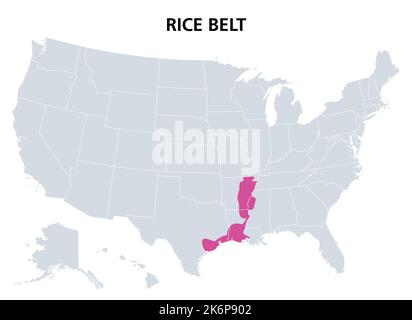 Cinghia di riso degli Stati Uniti, mappa politica. Regione negli stati Uniti meridionali, che crescono una parte significativa del riso delle nazioni. Foto Stock