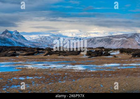 Dyrholaey penisula, regione meridionale, Islanda, Europa Foto Stock