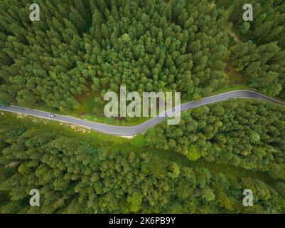 Vista dall'alto verso il basso di una strada tortuosa attraverso alberi forestali e un paesaggio verde. Guida asfalto trasporto stradale drone aereo vista dall'alto. ALP Foto Stock