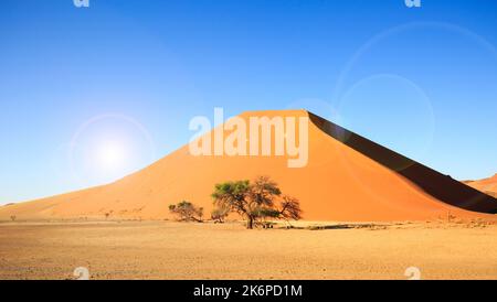 Dune 45 nel deserto di Namib Naukluft, con lente che si rifà sulle dune. La luce del sole mattutina sulle dune crea ombre Foto Stock