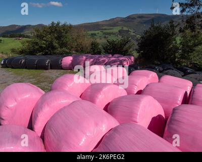 Balle di fieno nere e rosa avvolte in plastica e verde lussureggiante campagna sullo sfondo. Foto Stock