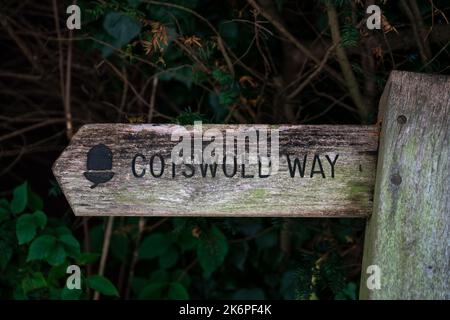 Indicazioni per Cotswold Way. Un sentiero nazionale di oltre 100 km da Chipping Camden a Bath. Gloucestershire, Inghilterra, Regno Unito Foto Stock