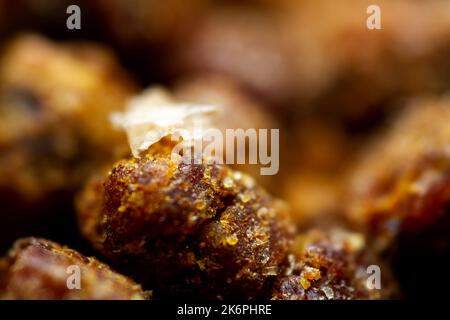 Primo piano estremo di pane di ape. Messa a fuoco selettiva. Profondità di campo poco profonda Foto Stock