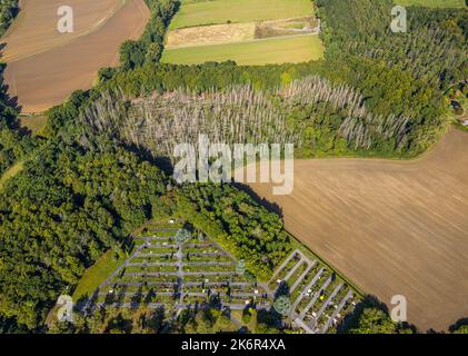 Luftbild, Neuer Friedhof, Waldschäden Kahlschlag, Fröndenberg, Fröndenberg/Ruhr, Ruhrgebiet, Nordrhein-Westfalen, Deutschland, Baumsterben, Begräbniss Foto Stock