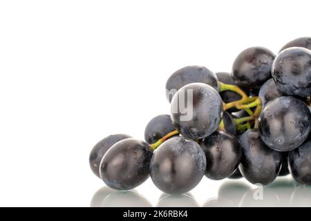 Un rametto di uva nera dolce, macro, isolato su fondo bianco. Foto Stock