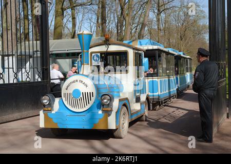 Treno Brother, un treno turistico che entra nel parco inferiore del Palazzo di Peterhof a San Pietroburgo, Russia Foto Stock